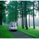 애플랜드 이미지