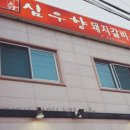심우향 이미지