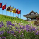 서산 팔봉산 목장 이미지