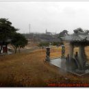 안성마을 정자앞 이미지