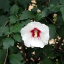 창대주유소 이미지