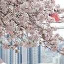 마을산책 이미지