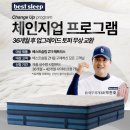 신혼 침대를 찾아서 (매트리스 추천, 브랜드별 인기 모델 정리)