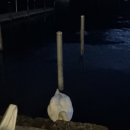 노이하우스 이미지