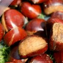 공주농장 이미지