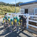 악양 승마장 이미지