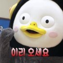 베통(BETON) 성수