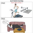 만성365약국 이미지