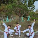 태사모 태권도 아카데미 이미지