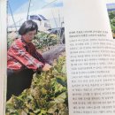 마니농장 이미지