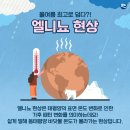 애경크록스 이미지