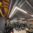 Mo's gym 네이버블로그