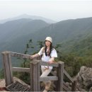 백운산등산로2코스 티스토리