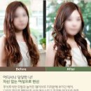 하얀헤어갤러리