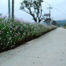 슬치휴게소 이미지