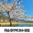 동구리호수공원잔디광장 이미지
