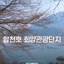 합천호회양관광단지 | 합천 벚꽃 명소 합천호 회양관광단지 호수뷰 산책
