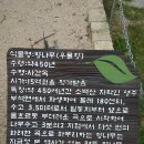 정원식당 앞 이미지