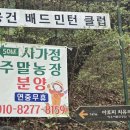 블루텍아이 | 장안평중고차시장 아세아자동차상사 벤츠 S350L 블루텍2 중고차