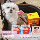 알마트 | 고양 스타필드 팝마트 위치 가격 언박싱 후기, 텔레토비 크라잉베이비 신상 구매