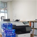 디에스코리아 이미지