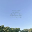 (주)모으리 이미지