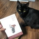 그동안 읽었던 고양이책 짧은 추천과 후기 이미지