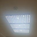 정상 네이처빌 이미지