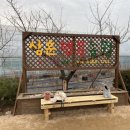 삼훈행복농원, 딸기체험, 딸기농장, 양주딸기농장, 양주딸기