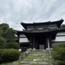 증안지길 | 증평 한옥 대형카페 데이트 추천, 이와카페