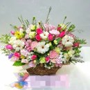 센텀동로 이미지