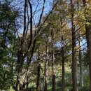 박강휘의원 | 용인카페 자연속 조용한 카페 “카페여시관”