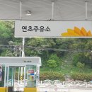 연초주유소 이미지