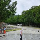 진밭골야영장 | 대구 캠핑장 추천 진밭골 야영장 당일치기 계곡 물놀이 캠프닉