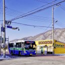 고대산 다슬기 이미지