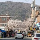 태백동행정복지센터 이미지