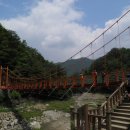 동촌2리 이미지