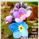 천생 연분 이미지