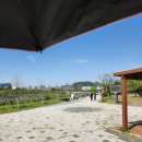 방울새어린이공원 | 세종호수공원 고향 마실축제 후기｜아이들과 가볼만한 체험 많은 세종 축제 (전통놀이·공예체험)