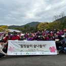 힐링숲터사회적협동조합