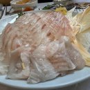 세종수산 | 중부회수산, 세종 횟집 추천 신선함의 끝판왕 후기!