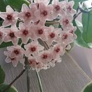 황소당구장 이미지