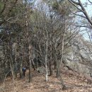 황대골 멱곡육교(33번국도)에서 쇠목재까지 이미지