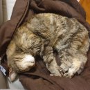 호양농장 이미지