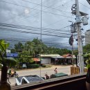 만남치킨 | [보홀] 망고와 치킨의 만남?! - 내돈내산 빠우 메뉴후기🍽