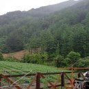 구절보건진료소 이미지