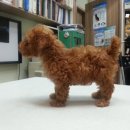 마로동물병원 이미지