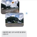 제주나랑하 이미지