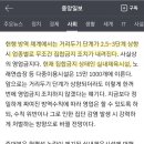 감성피티 이미지