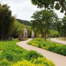 태화강국가정원 이미지